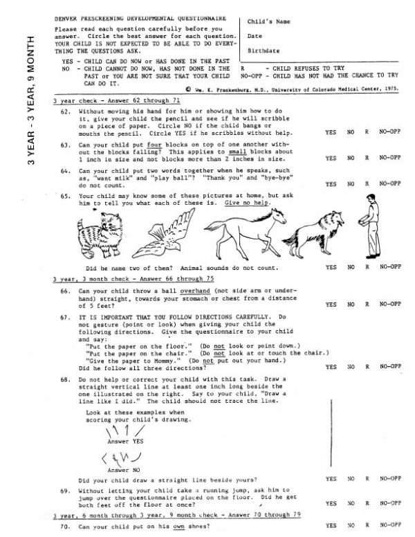 Developmental Questionnaire 3 Year - 3 Year, 9 Month