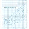 Growth Chart - 2 to 20 Years: Boys - Image 2