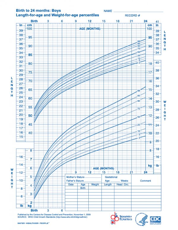 Growth Chart - Birth to 24 Month: Boys