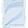 Growth Chart - Birth to 24 Month: Boys - Image 2