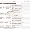 PEDS Score Form - Image 2